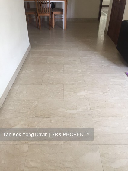Carissa Park Condominium (D17), Condominium #177810222